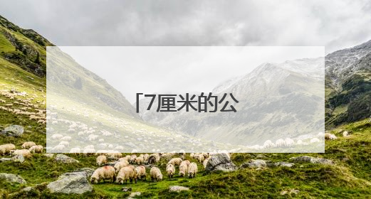 7厘米的公正与温暖