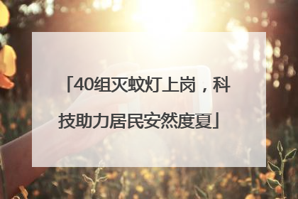 40组灭蚊灯上岗，科技助力居民安然度夏