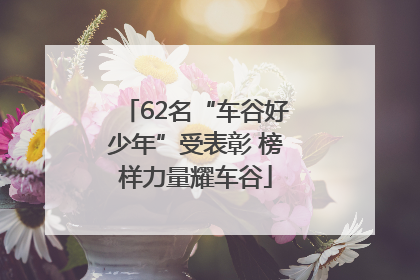 62名“车谷好少年”受表彰 榜样力量耀车谷