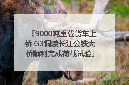 9000吨重载货车上桥 G3铜陵长江公铁大桥顺利完成荷载试验