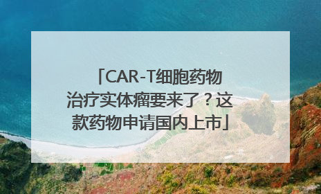 CAR-T细胞药物治疗实体瘤要来了？这款药物申请国内上市