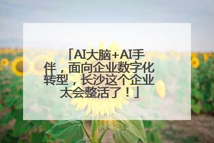 AI大脑+AI手伴，面向企业数字化转型，长沙这个企业太会整活了！