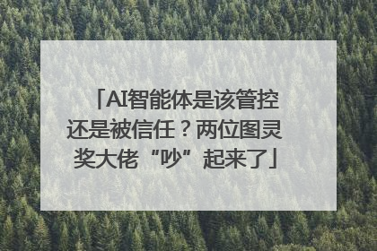 AI智能体是该管控还是被信任？两位图灵奖大佬“吵”起来了