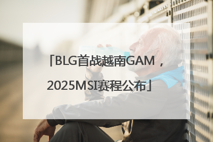 BLG首战越南GAM，2025MSI赛程公布