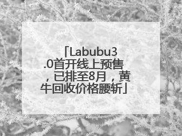 Labubu3.0首开线上预售，已排至8月，黄牛回收价格腰斩