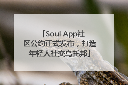 Soul App社区公约正式发布，打造年轻人社交乌托邦