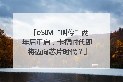 eSIM“叫停”两年后重启，卡槽时代即将迈向芯片时代？